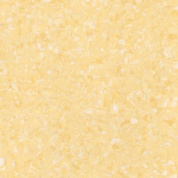 V10003 Sunshine