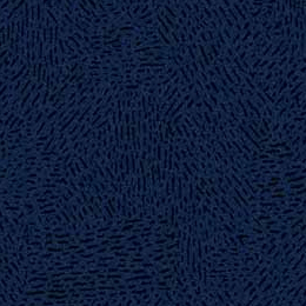 1620 110