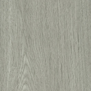 9205 SILVERED OAK