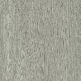 9205 SILVERED OAK