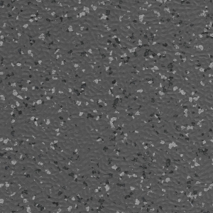 U41643 Grey Oyster