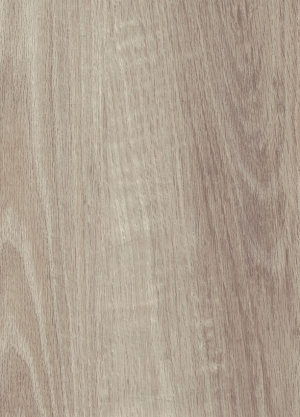 3101 CASHMERE OAK