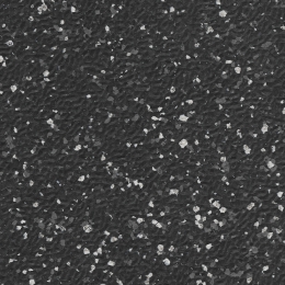U41644 Black Seed
