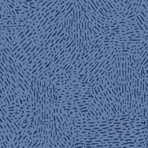 1620 100
